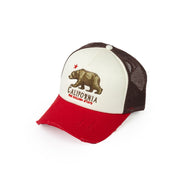 California Golden Sate BlueBear - Cream